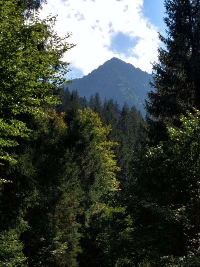 Eistobel Und Felderhalde Daire Isny im Allgäu Dış mekan fotoğraf