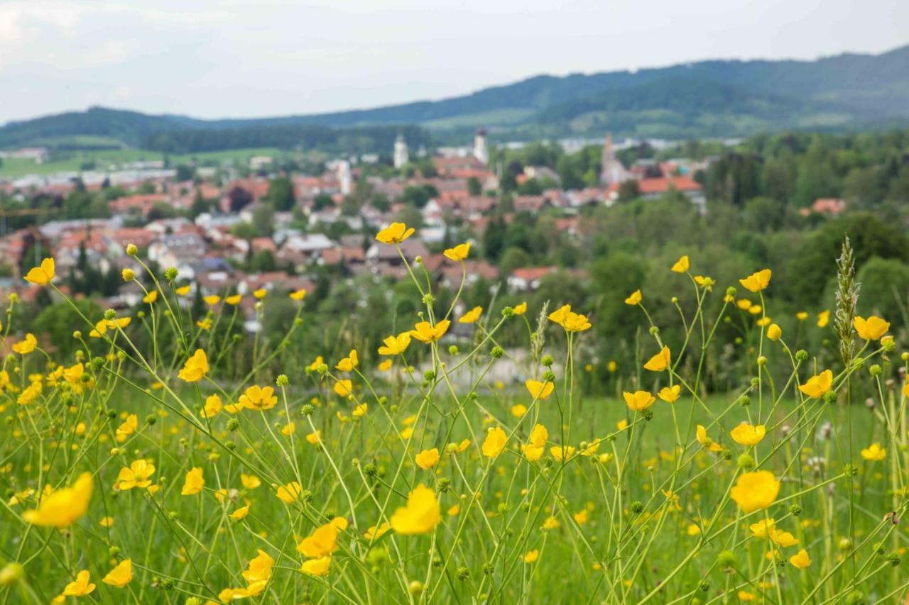 Eistobel Und Felderhalde Daire Isny im Allgäu Dış mekan fotoğraf