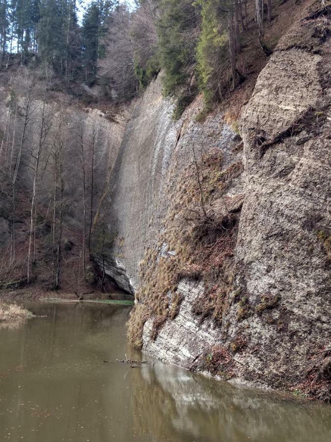 Eistobel Und Felderhalde Daire Isny im Allgäu Dış mekan fotoğraf